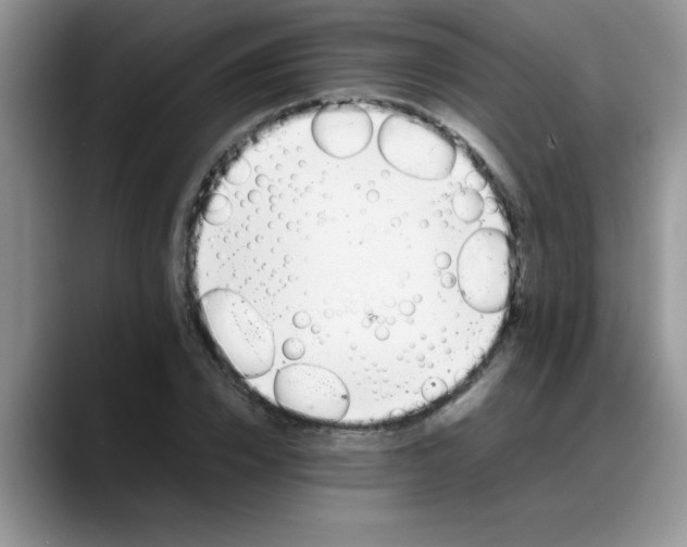 X0000088170832200705291930