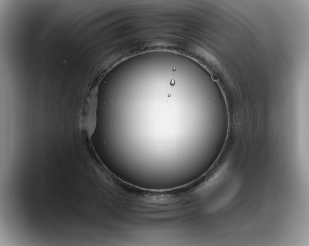 X0000088170833200705291930