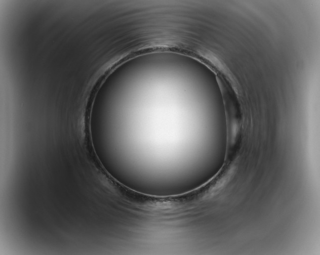 X0000088170834200705291930