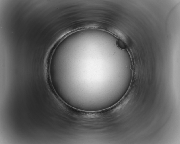 X0000088170835200705291930