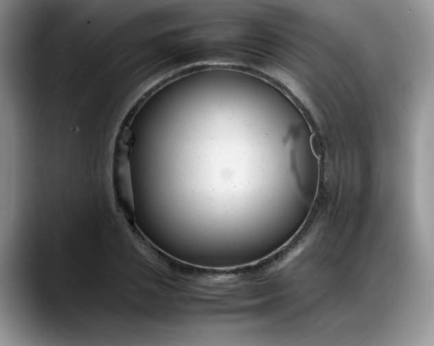 X0000088170837200705291930