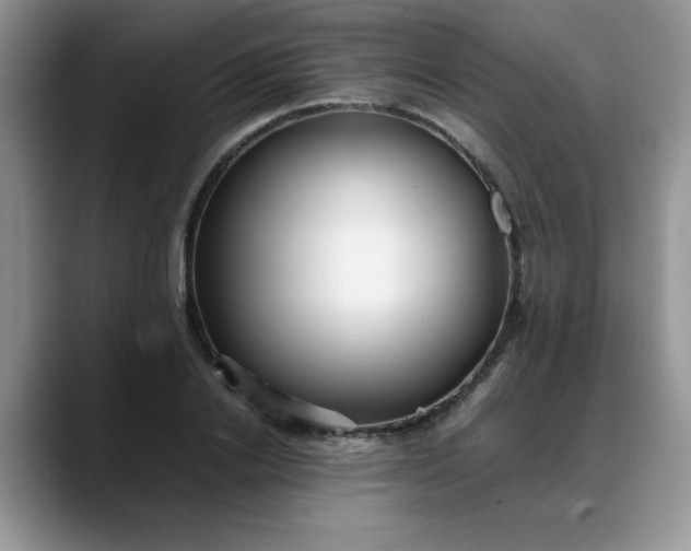 X0000088170838200705291930