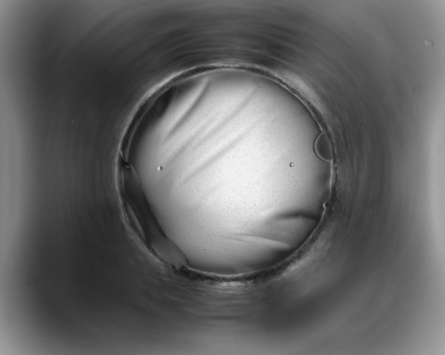 X0000088170839200705291930