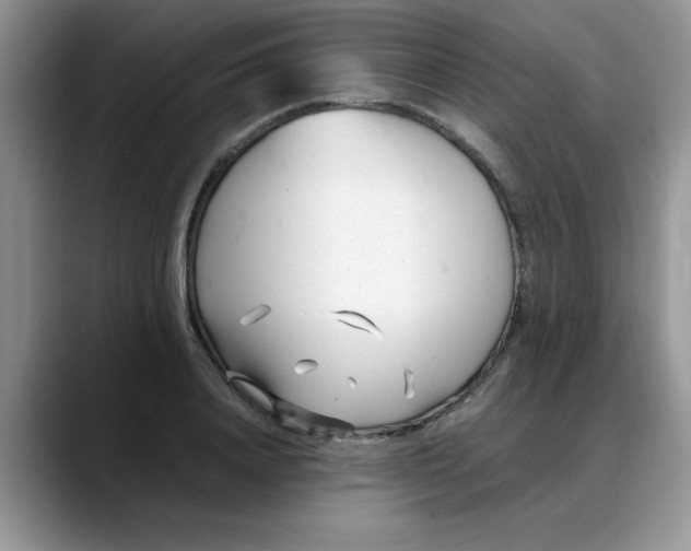 X0000088170840200705291930