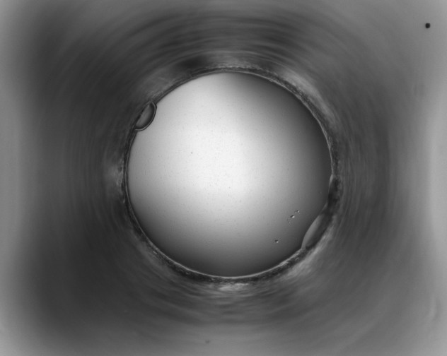 X0000088170841200705291930