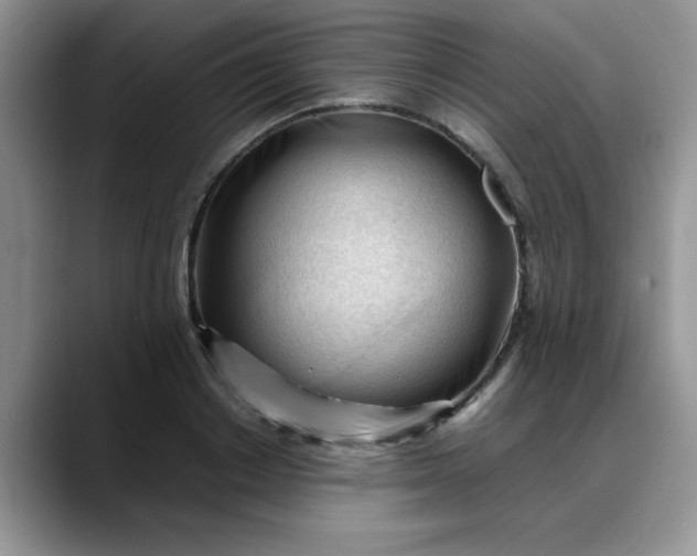 X0000088170842200705291930