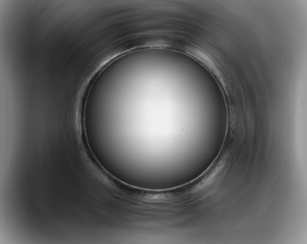 X0000088170843200705291930