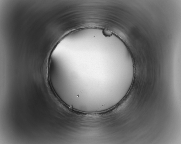 X0000088170844200705291930