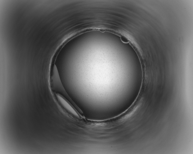 X0000088170845200705291930