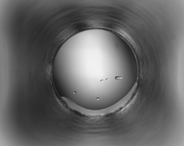 X0000088170849200705291930