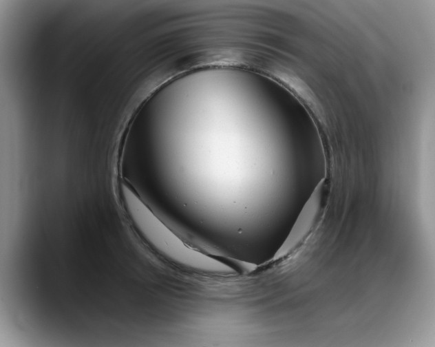 X0000088170850200705291930