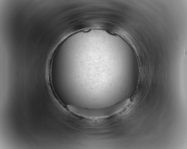 X0000088170851200705291930