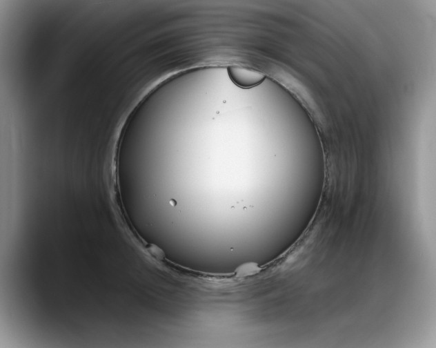 X0000088170852200705291930