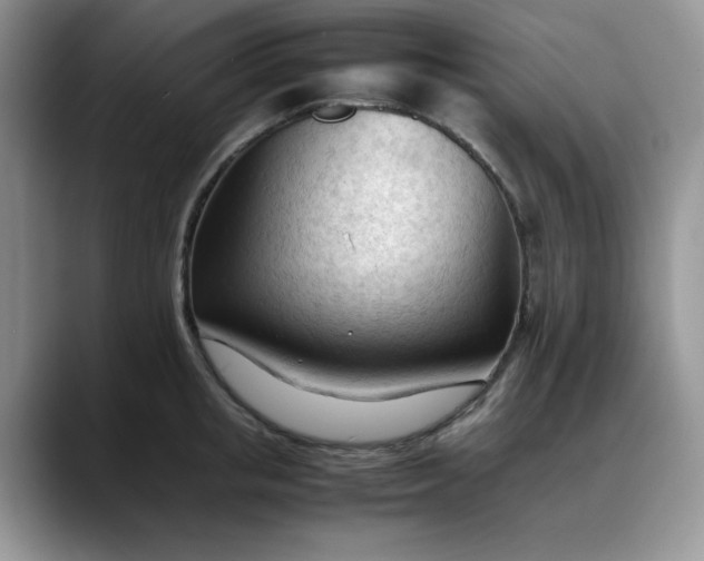 X0000088170853200705291930