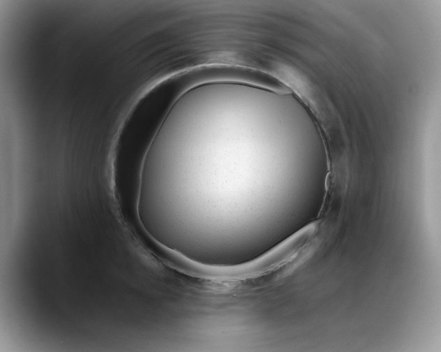 X0000088170854200705291930