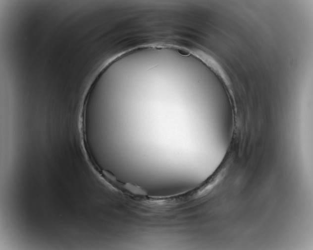 X0000088170855200705291930