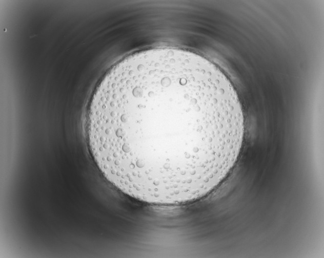 X0000088170856200705291930