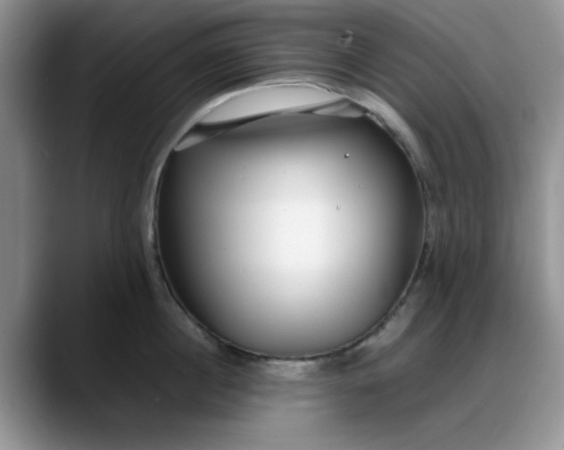 X0000088170860200705291930