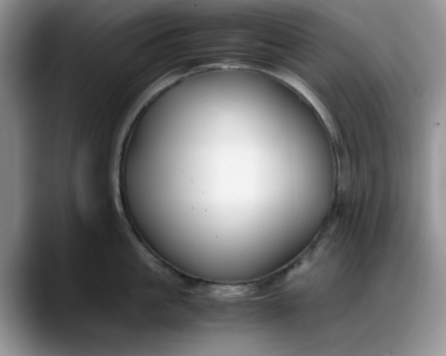 X0000088170861200705291930