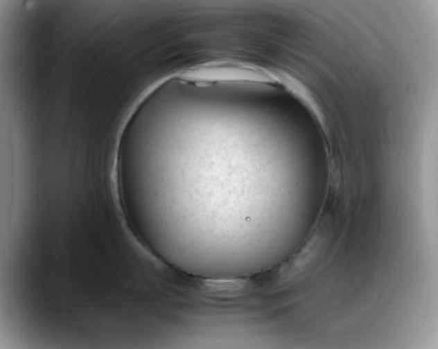 X0000088170863200705291930