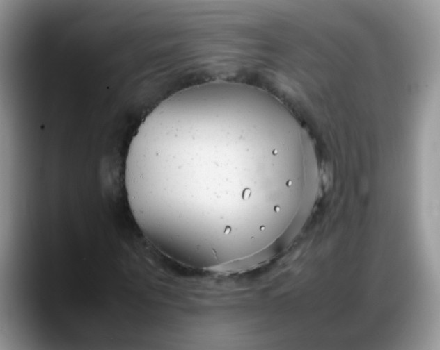 X0000088170867200705291930