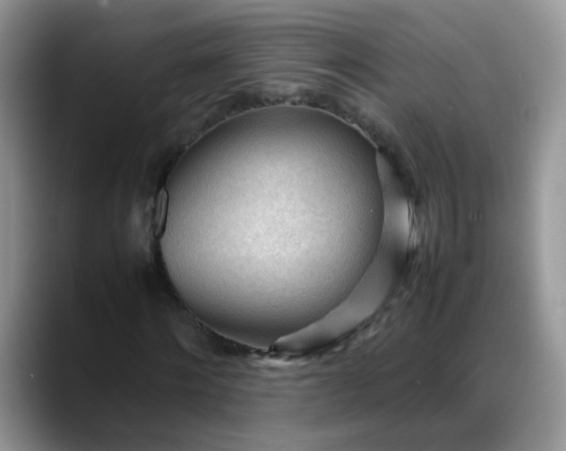 X0000088170868200705291930