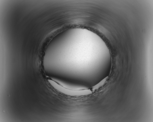 X0000088170872200705291930