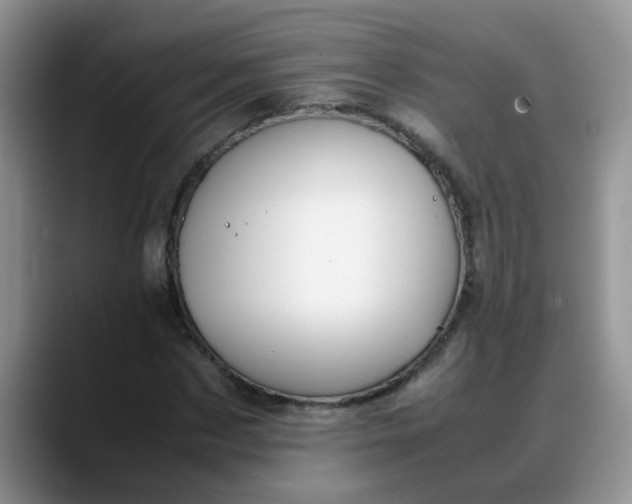 X0000088170873200705291929