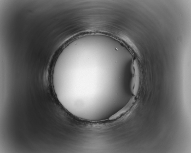 X0000088170876200705291929