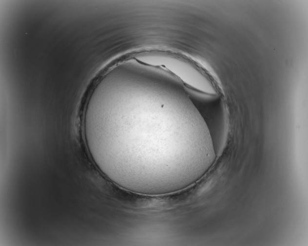 X0000088170879200705291929