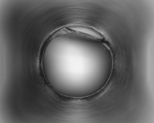 X0000088170880200705291929