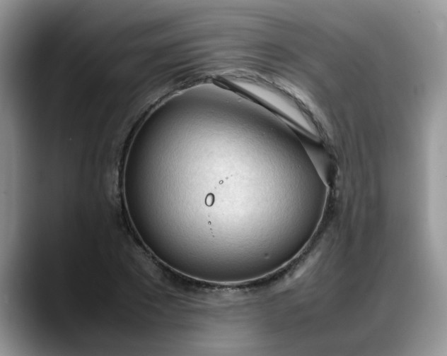 X0000088170881200705291929