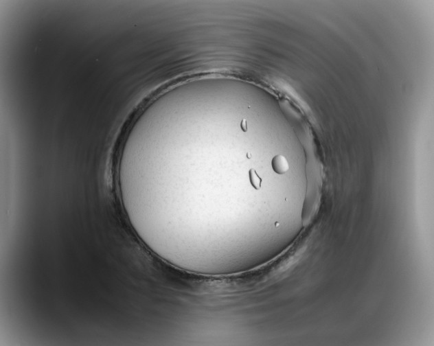 X0000088170883200705291929