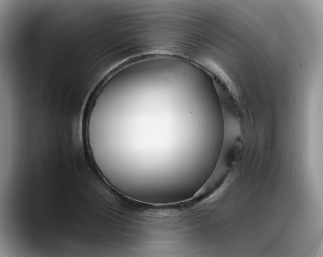 X0000088170884200705291929