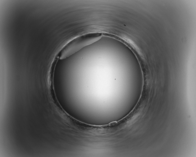 X0000088170885200705291929