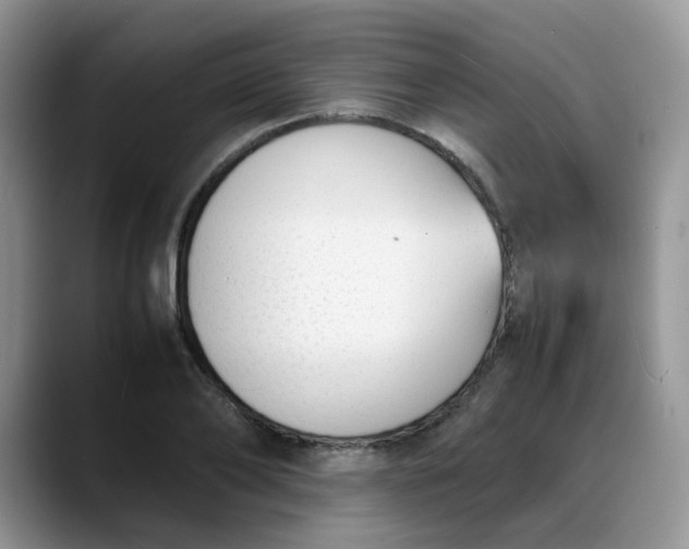 X0000088170886200705291929