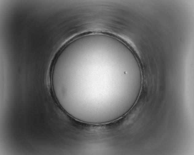 X0000088170887200705291929