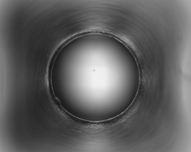 X0000088170888200705291929