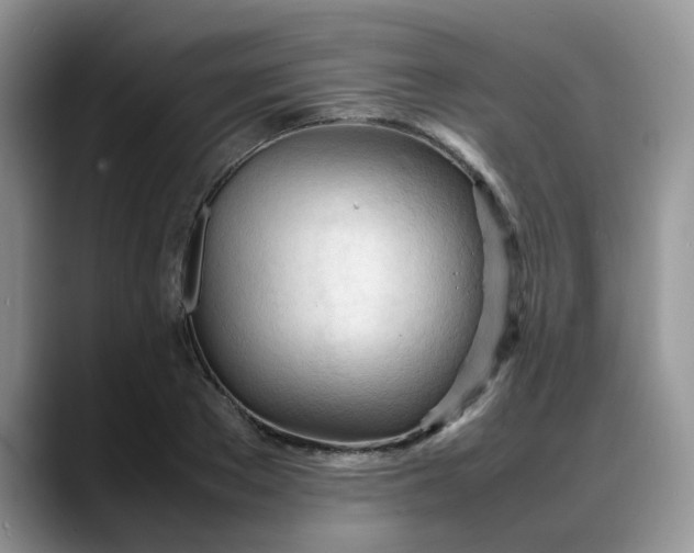 X0000088170889200705291929