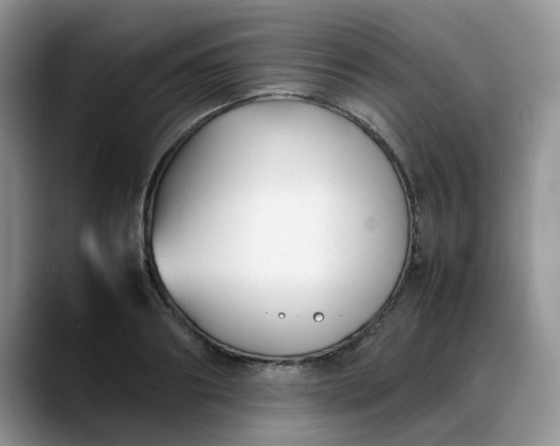 X0000088170890200705291929