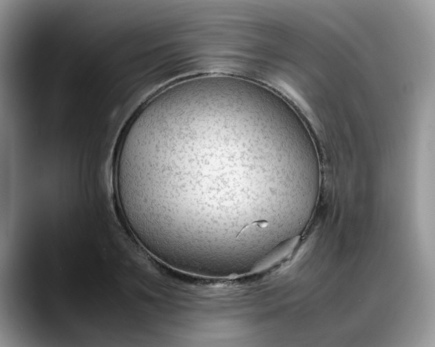 X0000088170891200705291929