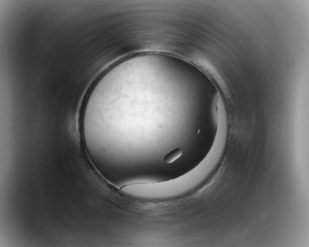 X0000088170892200705291929