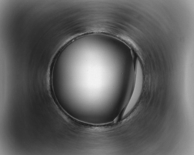 X0000088170894200705291929