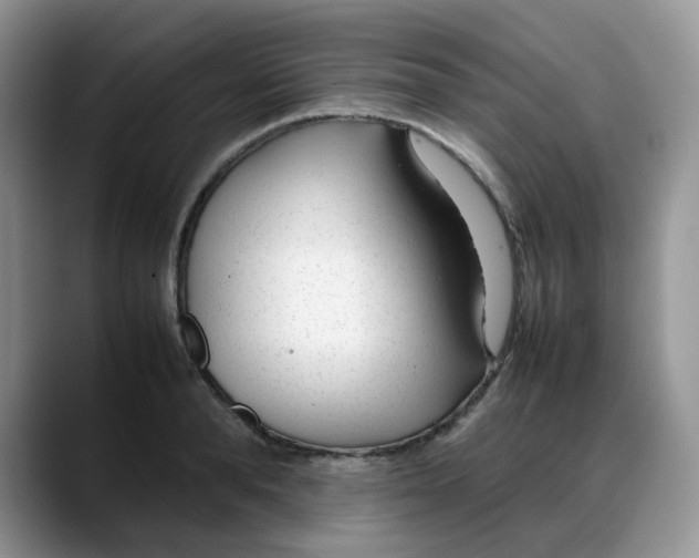 X0000088170896200705291929