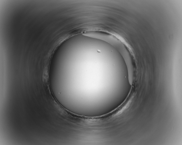 X0000088170897200705291929