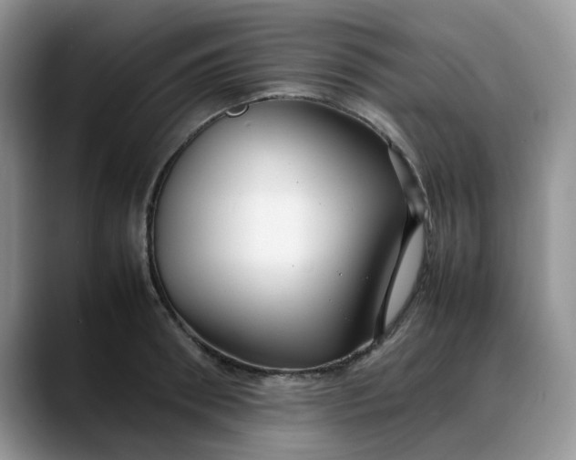 X0000088170898200705291929