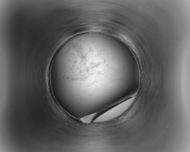 X0000088170899200705291929