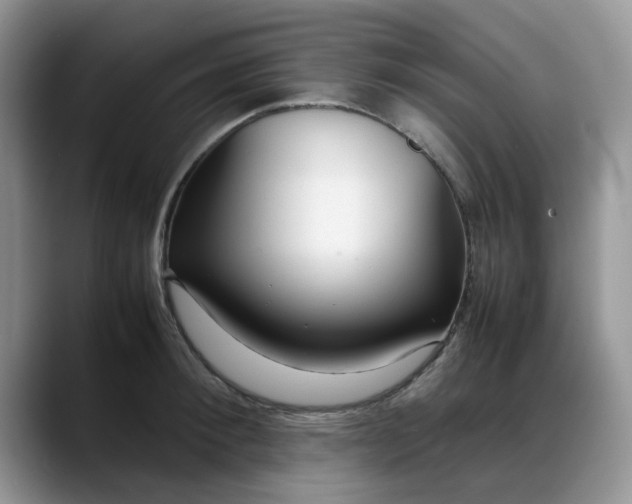 X0000088170900200705291929