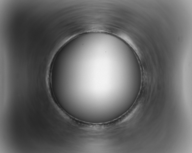 X0000088170901200705291929