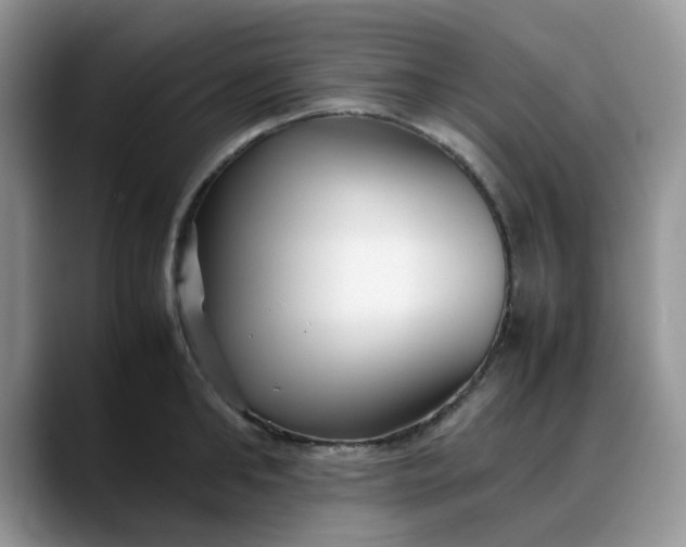 X0000088170902200705291929